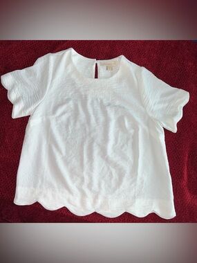 NWT Monteau Los Angeles Scalloped Hem Top Size Medium